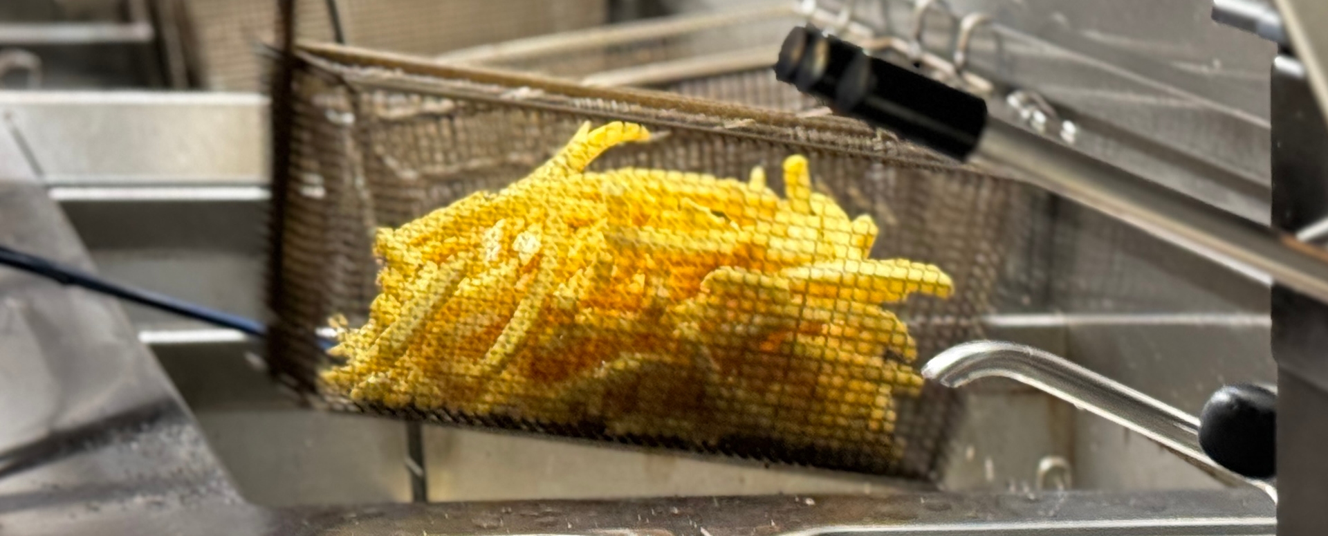 avfs-240193-01_house_of_fries_website_-_image_block_-_1920x755px2_de