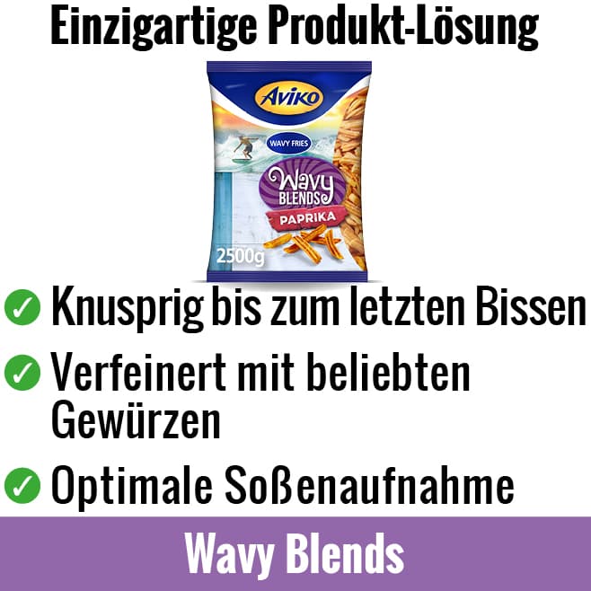 house_of_fries-new_concept-image_block-658x658px2-de