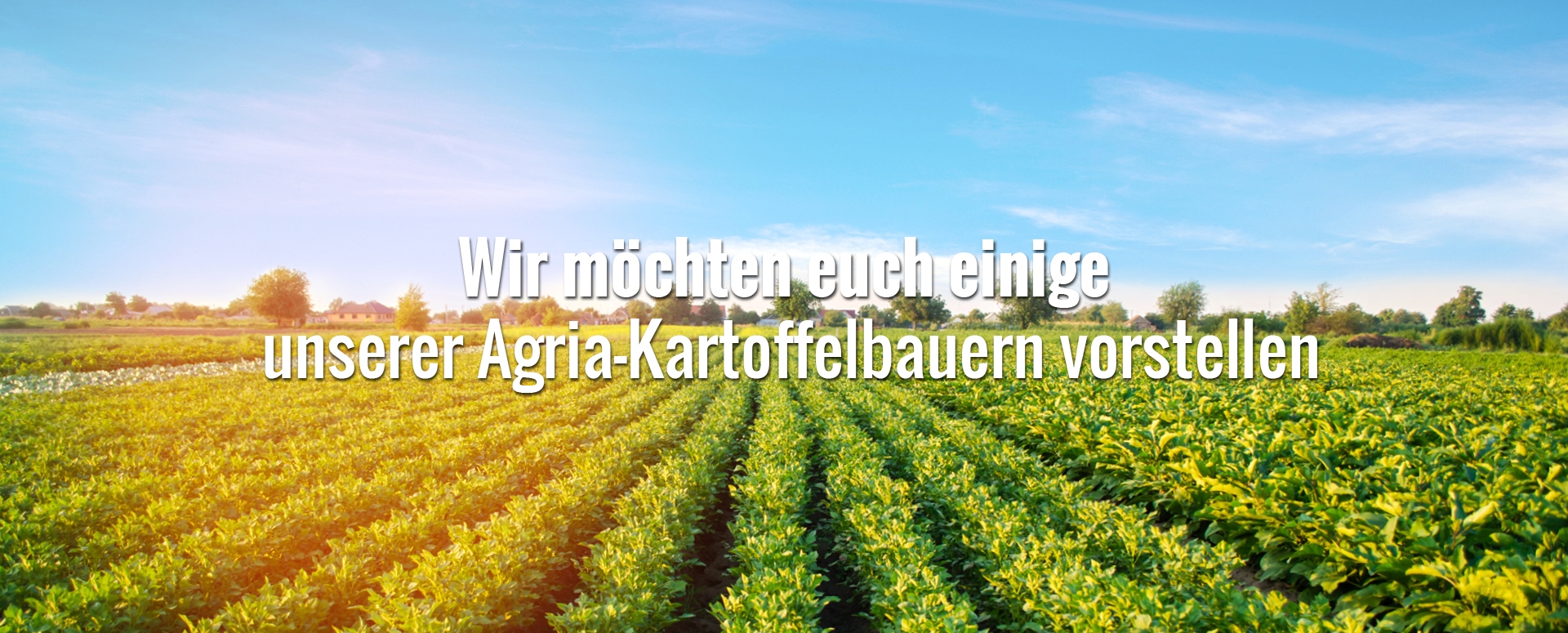 house_of_fries-new_horizons-our_growers_page-image_block-1920x755px_01-de