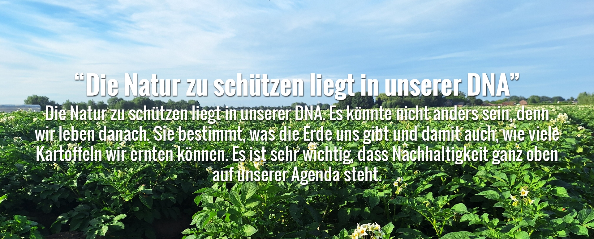 house_of_fries-new_horizons-our_growers_page-image_block-1920x755px_02-de